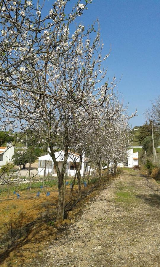 Holiday Home Monte Das Azinheiras 아라이오로스 외부 사진